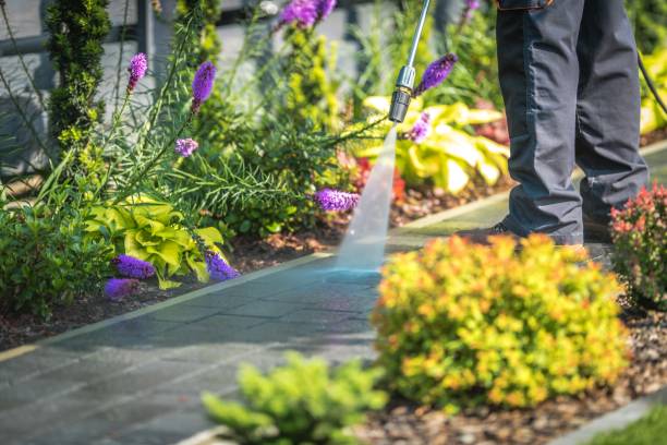 Best Gas Station Cleaning  in Holley, NY