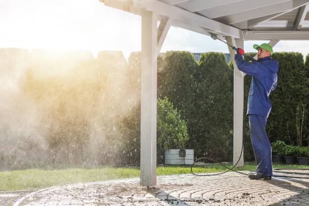 Best Spring Cleaning  in Holley, NY
