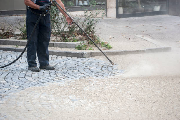 Best Dumpster Area Cleaning  in Holley, NY