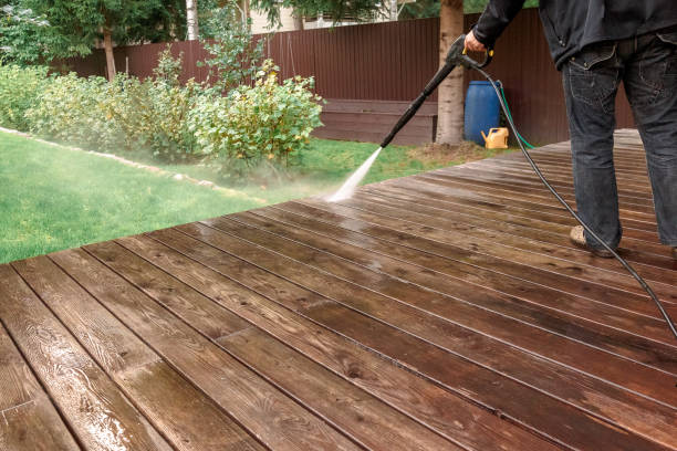 Best Roof Washing  in Holley, NY